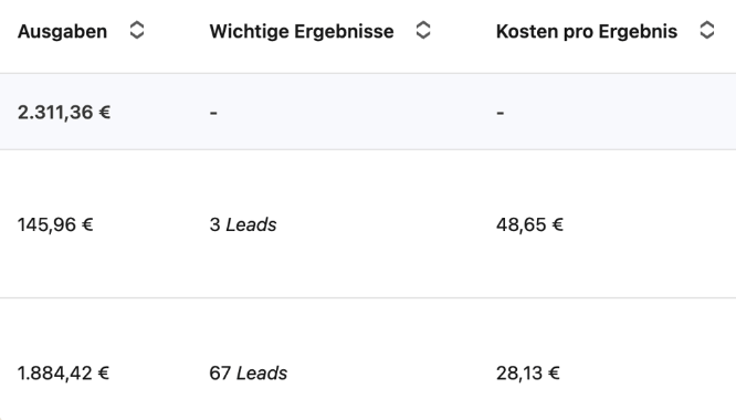 LinkedIn Kampagnen-Ergebnisse: 67 Leads für 28,13 €